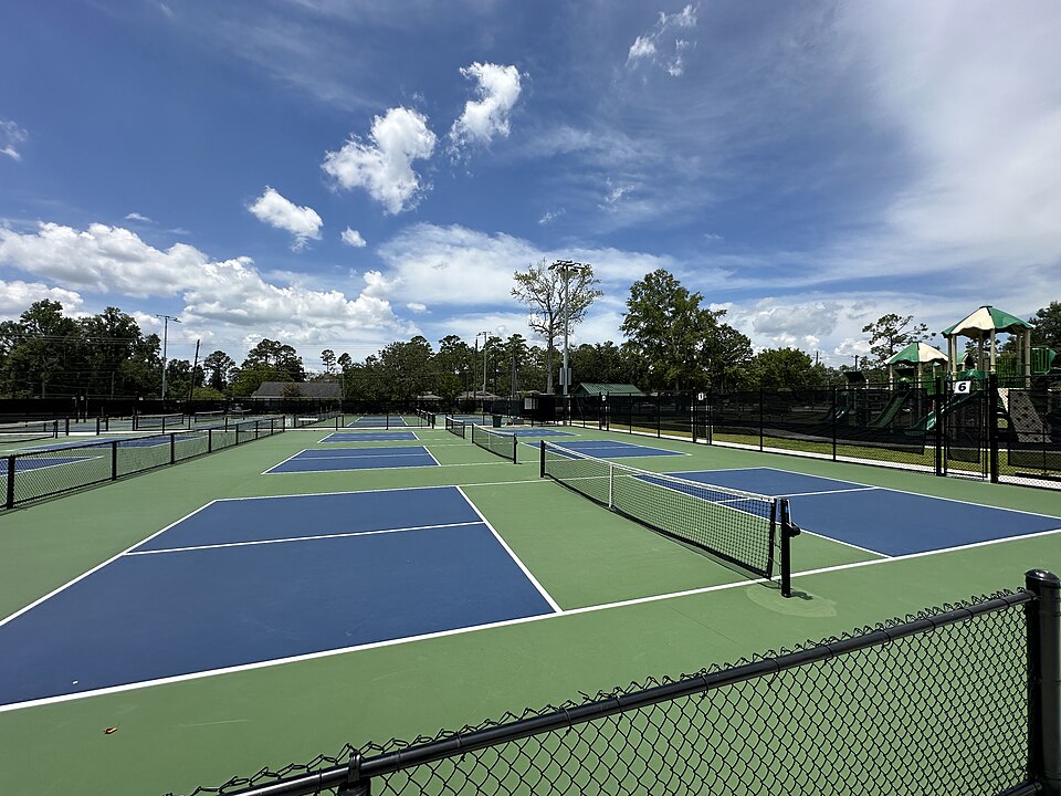 Pickleball Courts in Manassas, Virginia: Best Places to Play + Local Tips
