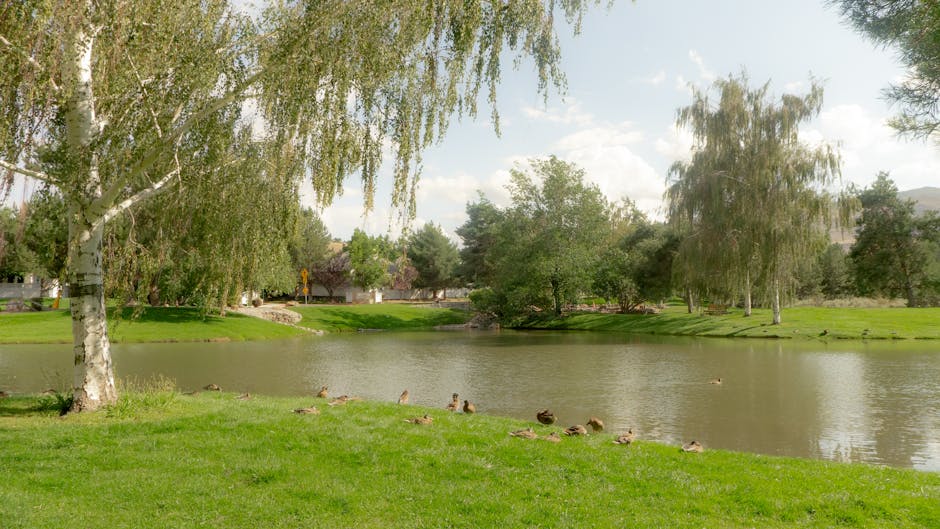 Pickleball Courts in Reno, Nevada: The Biggest Little Pickleball City